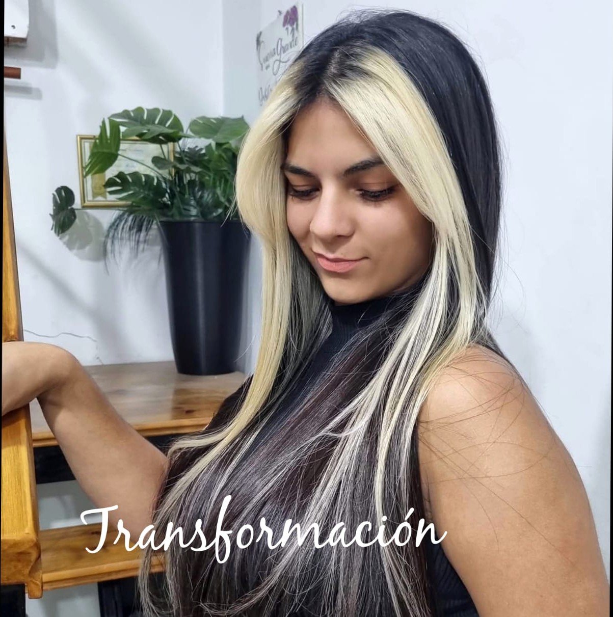Transformación Color